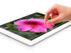 Das sind nicht 20 Zentimeter – 7 Zoll iPad im Herbst